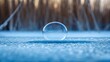 © NoorArt Studio - Frozen water droplet on icy surface with forest background