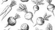 © Ishtiaq - Hand drawn root vegetable pattern featuring carrots and beets on a dark background for culinary use