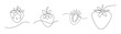 © Abu - Four detailed line drawings of strawberries showing various angles and detail