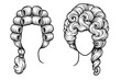© typepng - Two styles of historical powdered wigs in outline