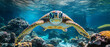 © COK House - A sea turtle among a coral reef highlights the beauty and fragility of the ocean ecosystem, which is relevant for the backdrop of environmental campaigns to protect marine fauna.