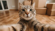 © Helka - Cat taking a selfie in a new apartment, moving, buying a home, renting, pet friendly