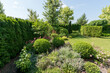 © Alhim - In a green space, different plants and bushes are arranged neatly. Sunlight shines down on the garden, showing vibrant colors and a well-kept landscape.
