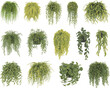 © Morsalin Creatives - Set of hanging plants illustration with lush green foliage indoor botanical decor houseplant collection vector