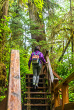 Tourist walking up wooden stairs in rainforest trail on vancouver island