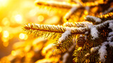 Snowy Pine Branch Bathed in Golden Winter Sunlight