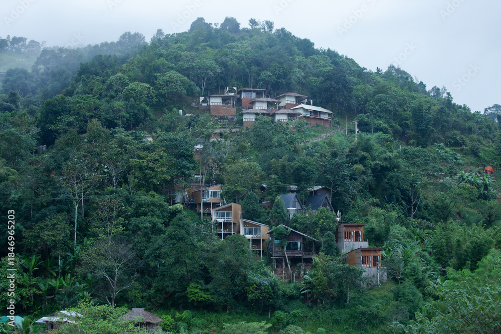 Agricultural Field, Asian Style Conical Hat, Beauty, Colors, Eco Tourism