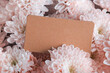 © ADDICTIVE STOCK - Blank card with pink flowers for Valentine's Day