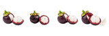 Set of Four Mangosteen (Garcinia mangostana) in Natural Arrangement, Isolated on Transparent Background, Oil Paint