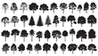 © RNB DESIGN - Tree Silhouettes – PNG Background for Architecture & Urban Models | Editable Vector Illustration