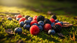 © Ajeng - A vibrant assortment of fresh ripe berries including blueberries raspberries and blackberries gathered on a bed of lush green moss illuminated by a warm natural light.