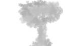 Gray explosion smoke column, vertical blast cloud png transparent fog overlay for fire or disaster explosion visual effects on transparent background