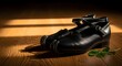 © antuanetto - Traditional black Irish dance shoes resting on a wooden floor with a clover leaf, bathed in warm light for a St. Patrick's Day celebration concept.