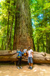 © unai - Family exploring giant trees in cathedral grove forest, vancouver island