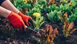 © Arx PhotoStock - Gardening work with tool in soil among plants