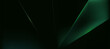 © Aneg - Modern abstract luxury banner, abstract green and black polygon elegant background vector for branding presentation or product ads bg