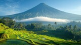 Volcanic mountain over terraced rice paddies. Lush landscape