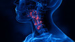 © osagvsa - X ray neck tonsil infection medical illustration blue glowing inflamed tonsil