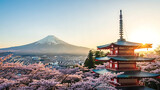 Cherry blossoms and mount fuji at dawn