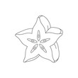 © Subextinesia - Outline illustration of a single star fruit slice showing its distinct star shape and inner seeds, perfect for culinary or educational purposes