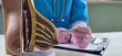 © Nadzeya - Plastic surgeon or breast augmentation mammologist holds anatomy structure of breast concept