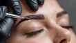 © Nova Zigres - Professional beautician applying eyebrow tint with a brush with henna