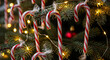 © Galang - Close-up of traditional red and white candy canes hanging on a festive Christmas tree adorned with warm string lights.