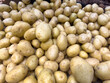 © Torvim - Fresh Yellow Potatoes Pile