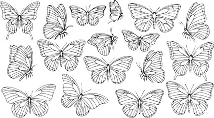 Naklejka na meble Silhouettes of butterflies. Black pictures of funny butterflies. Insect butterfly black silhouette, winged gorgeous animal, vector illustration