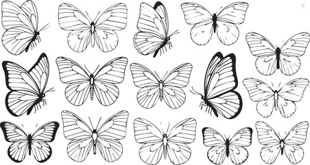 Naklejka na meble Silhouettes of butterflies. Black pictures of funny butterflies. Insect butterfly black silhouette, winged gorgeous animal, vector illustration