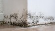 © Ірина Пальцева - Close-up shot capturing the detrimental effects of mold growth on a wall near the floor. The mold is clearly visible, indicating a significant moisture issue.  Urgent attention is crucial.