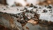 © nahid_hasan_masud - Close up of broken concrete rubble detail