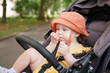 © splitov27 - Little baby in hat sits in a stroller and eats cookies outdoors