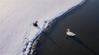 © LinhChi - Two swans standing at edge of snowy shoreline