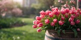 Pink tulips in a planter, designed for spring garden display or urban planting, Earth Day