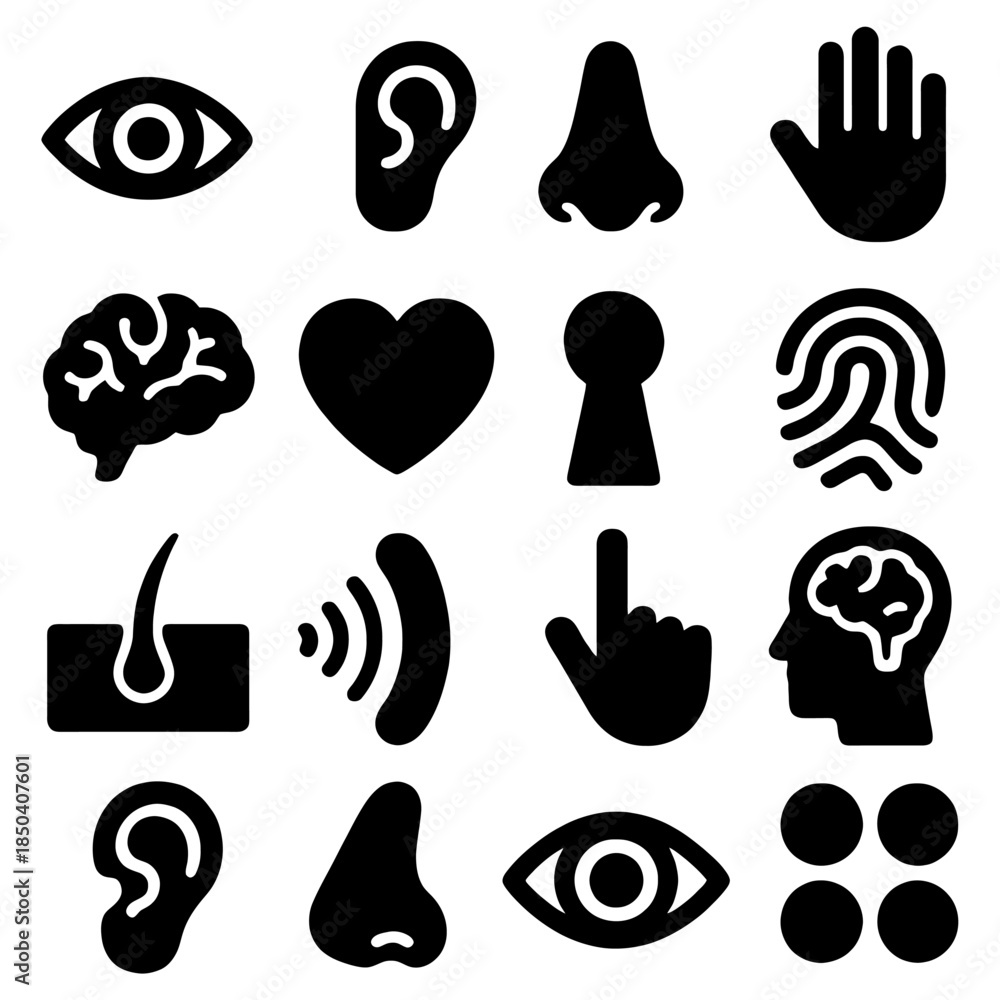 Sense Check Icon Sense icons: a collection of simple icons that are represent senses ...