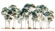 © btiger - Row of tall slender trees with rounded green canopies and sparse underbrush on a bright white background, creating a serene and airy natural scene