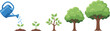 © MdMunzurul - Flat vector illustration showing stages of tree growth from sprout to mature leafy tree with blue watering can
