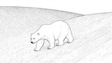 Polar Bear Walking Across Snowy Landscape in Black and White.