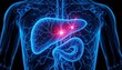 © Medisyn - Human liver with inflamed areas highlighted in red glow