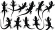 © Rubya - Set of 11 realistic lizard and gecko silhouette icons featuring various crawling and climbing poses for nature branding reptile education and wildlife graphic design