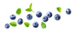 © Ian - vibrant photograph of fresh blueberries with green leaves scattered on a black backdrop, ideal for healthy eating or organic food concept designs