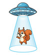 © Md - A happy cartoon squirrel being lifted into a flying saucer by a bright blue tractor beam.