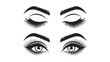 © Design Point - Stylized illustration of elegant female eyes featuring lush eyelashes and defined eyebrows