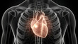 © Inara PNG - Human Heart Anatomy, Digital Artwork, Black Background, Scientific Concept
