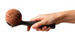 © Julianne - Mão Segurando Colher com Bola de Sorvete de Chocolate