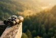 © Seasonal Mood - Metal Binoculars On A Rustic Wooden Ledge Overlooking A Valley