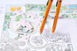 © Pixel-Shot - Pair of compasses with puzzle pieces on zoning plan, closeup