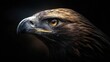 © Sergey - extreme macro photograph of an eagle head, sharp focused eye, detailed feathers texture, powerful and calm expression, dramatic natural lighting