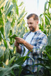 © Serhii - Farmer examining corn crop in cultivated field